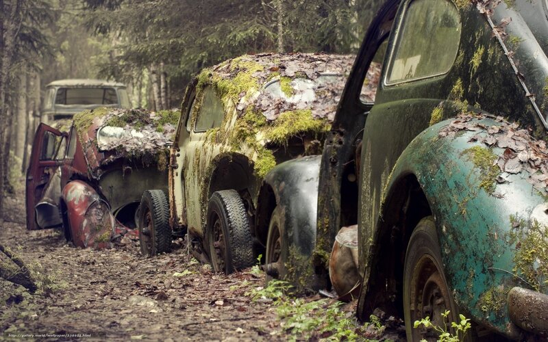 abandoned cars in forest