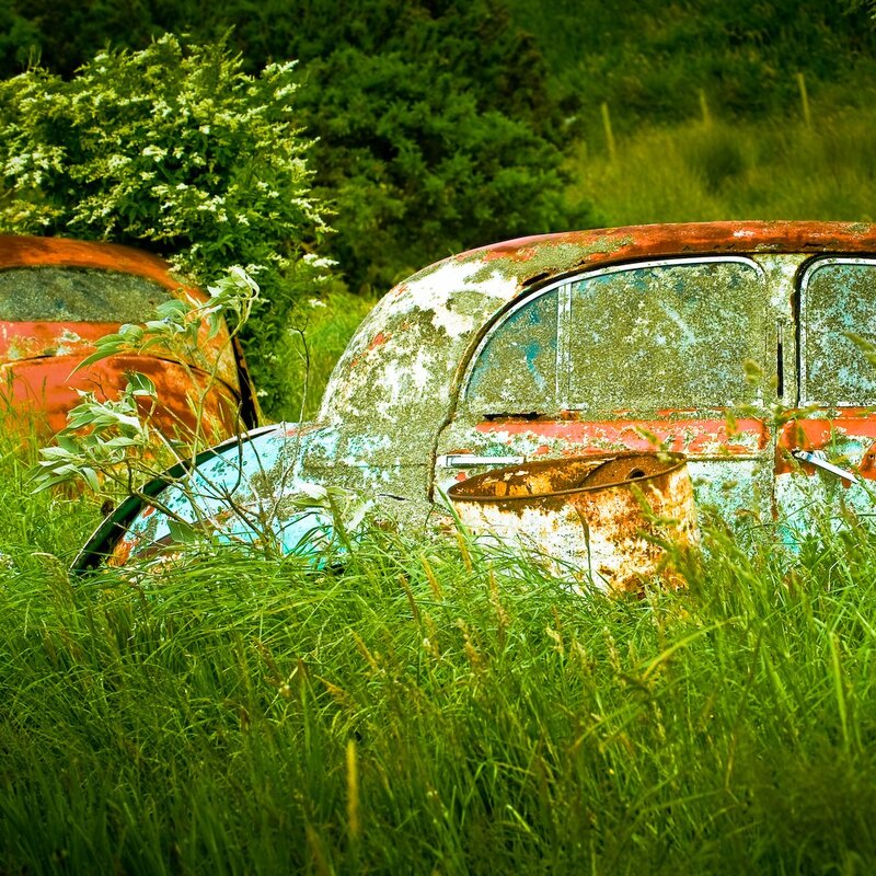 Abandoned Cars in Grass
