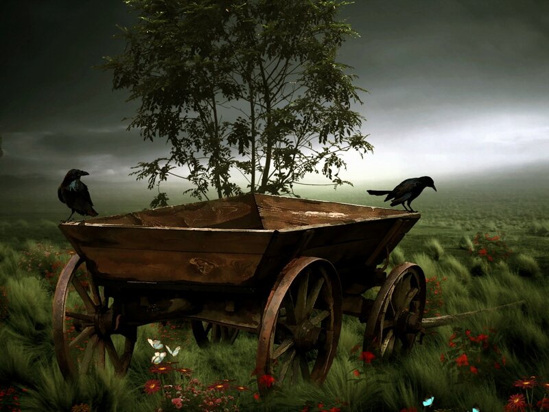 Abandoned Cart in Field — Green