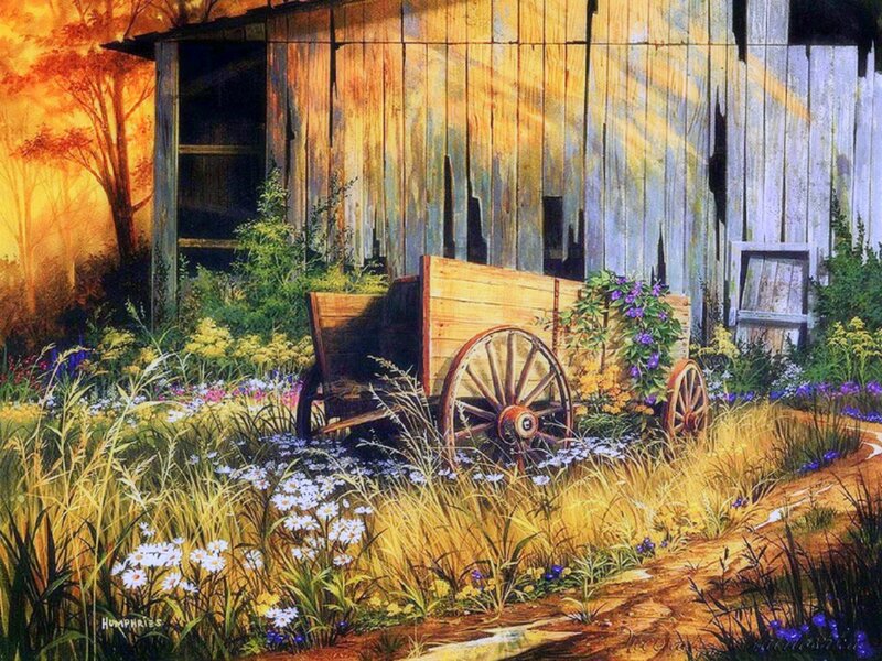 Abandoned Cart in Garden