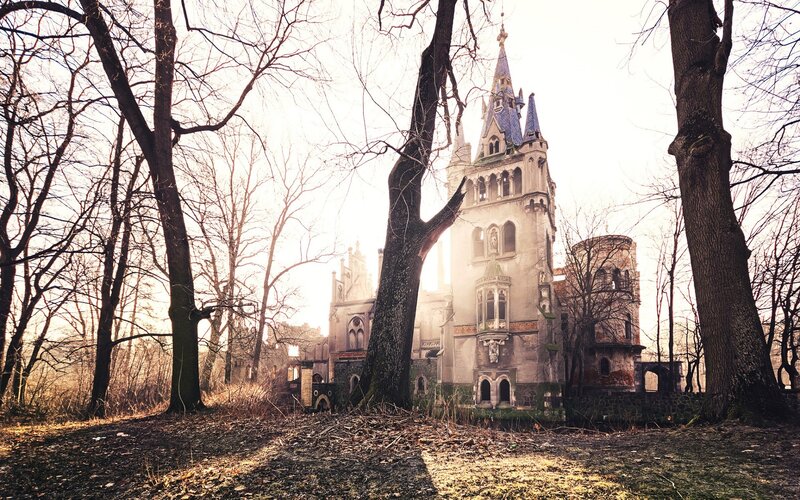 Abandoned Castle in Forest — Brown