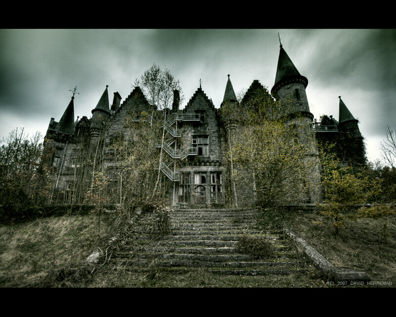 abandoned castle in overgrown landscape