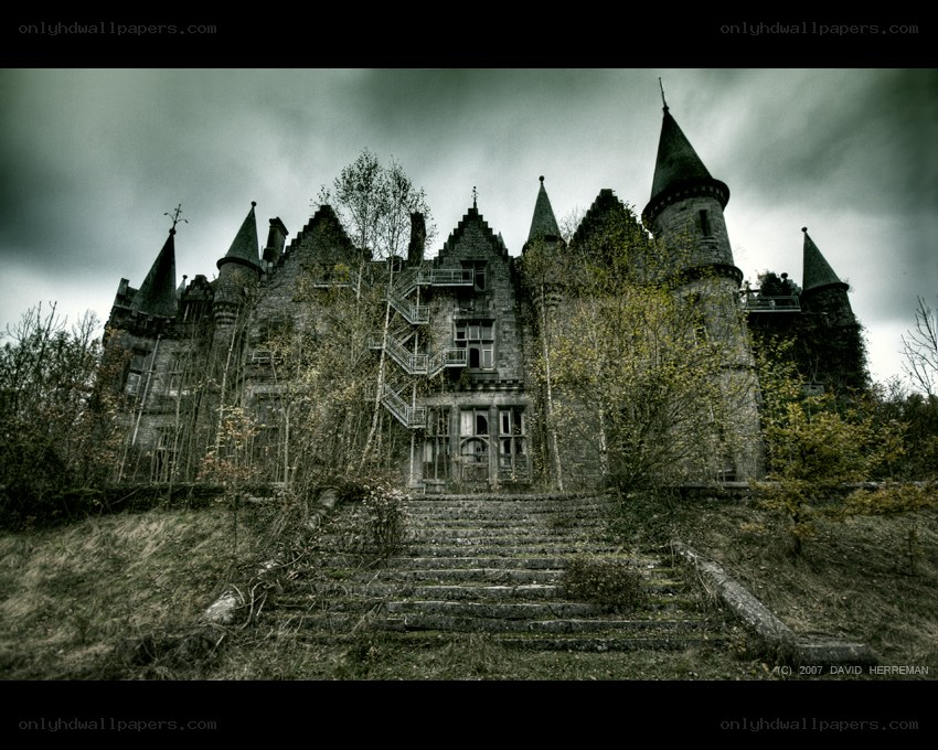 abandoned castle in overgrown landscape