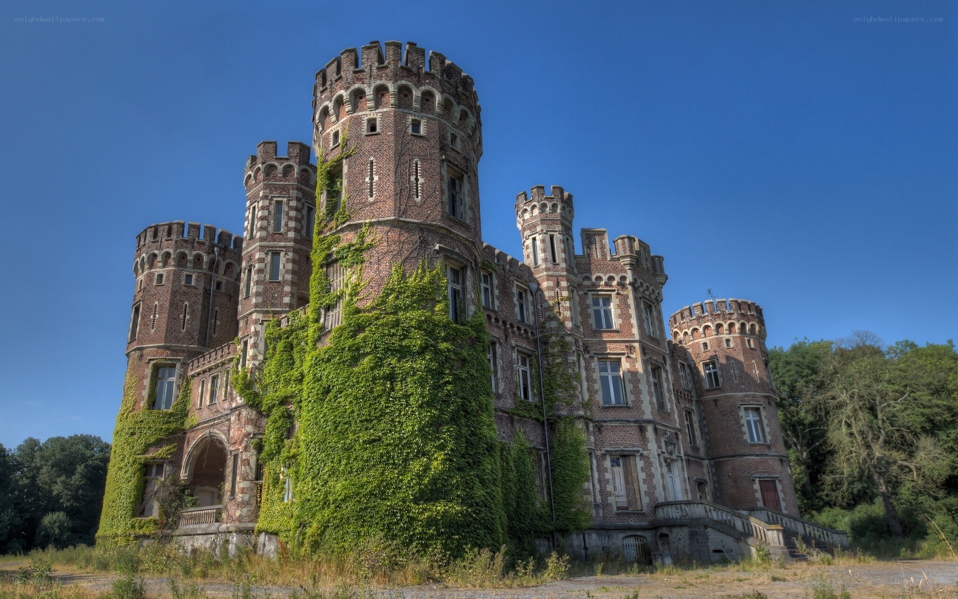 Abandoned castle with ivy