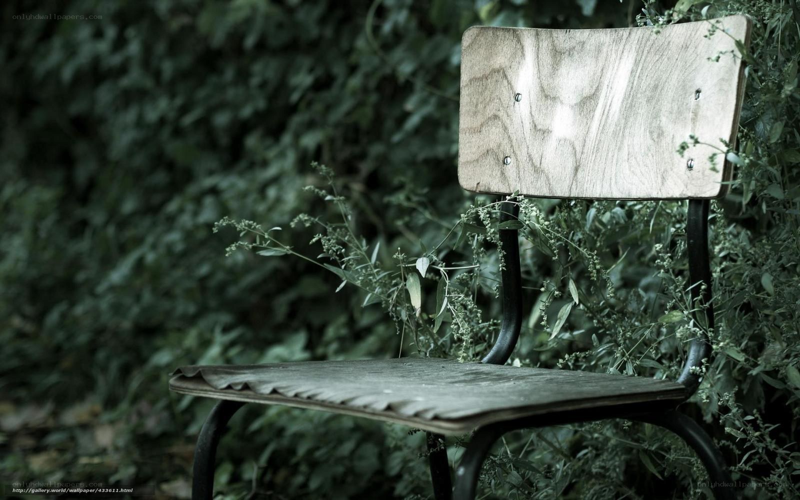 Abandoned chair in overgrown garden