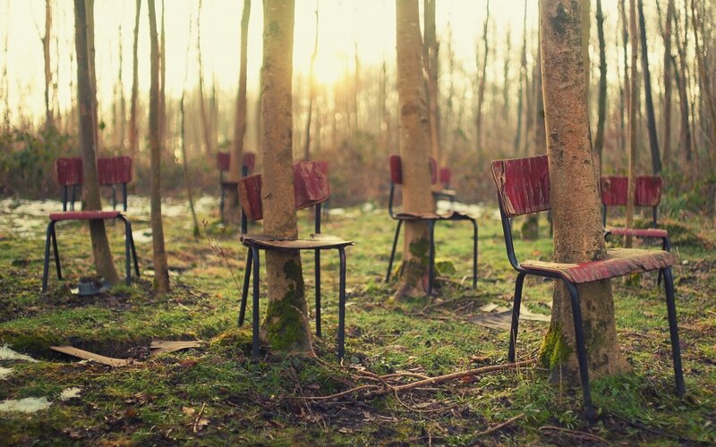 Abandoned Chairs in Forest