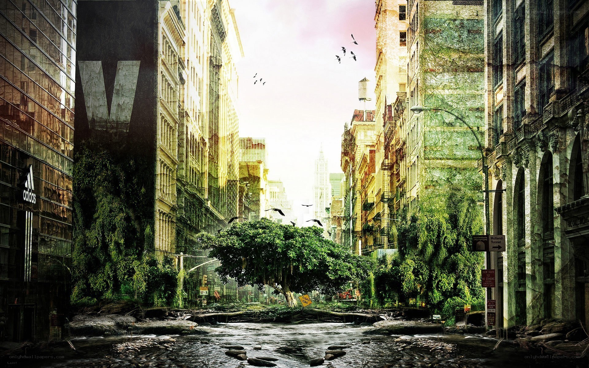 abandoned city street
