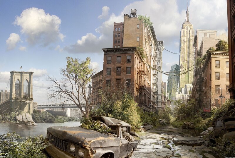 Abandoned City Street — Green, Desolate