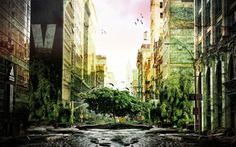 Abandoned City Street — Green, Dramatic, Afternoon, Digital Art, Buildings, Tree