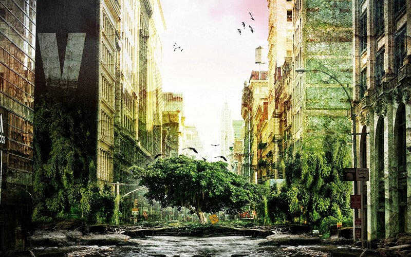 Abandoned City Street — Green, Dramatic, Afternoon, Digital Art