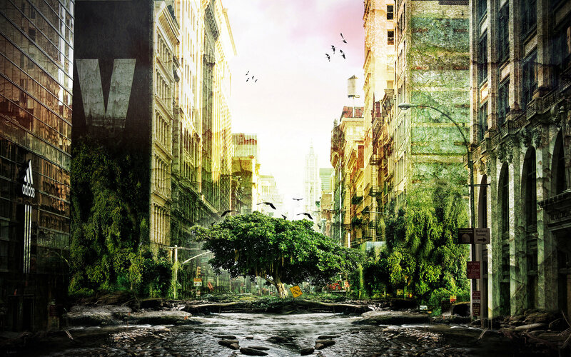 Abandoned City Street — Green, Dramatic, Afternoon
