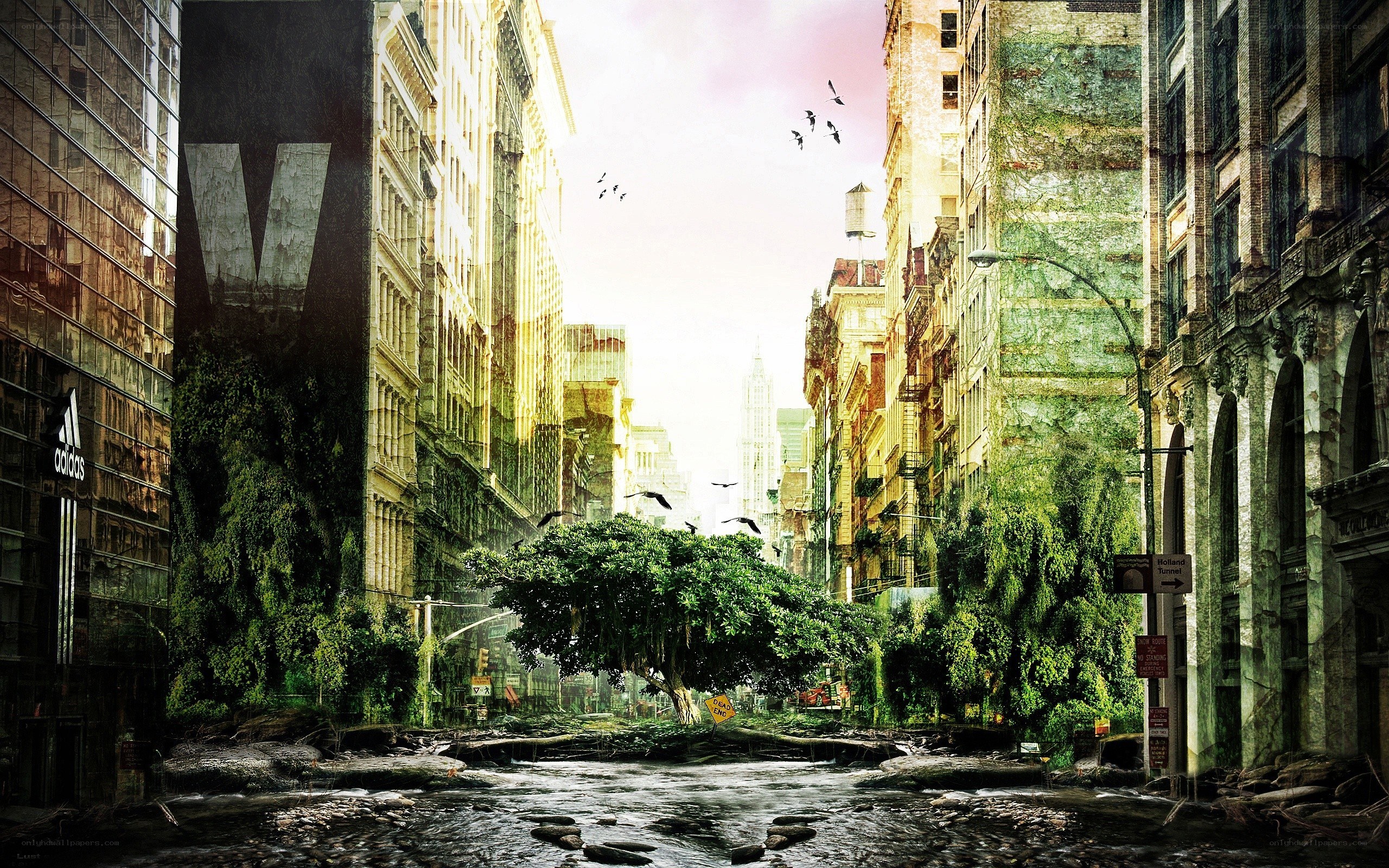 Abandoned city with overgrown streets