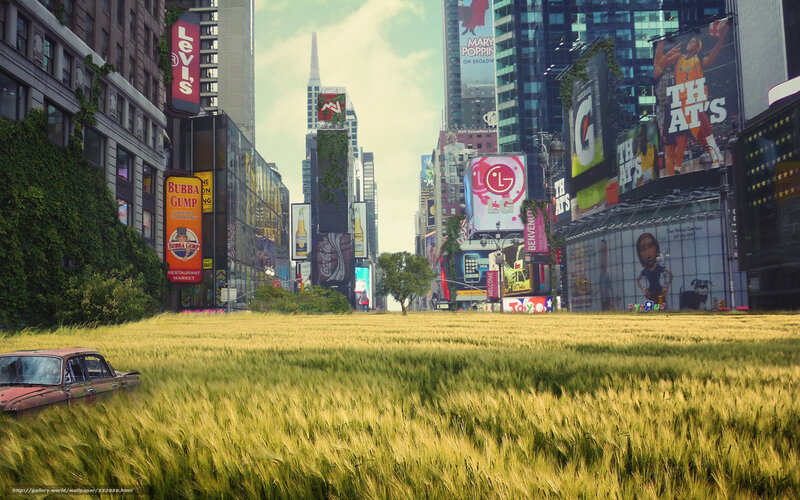 Abandoned city with wheat field
