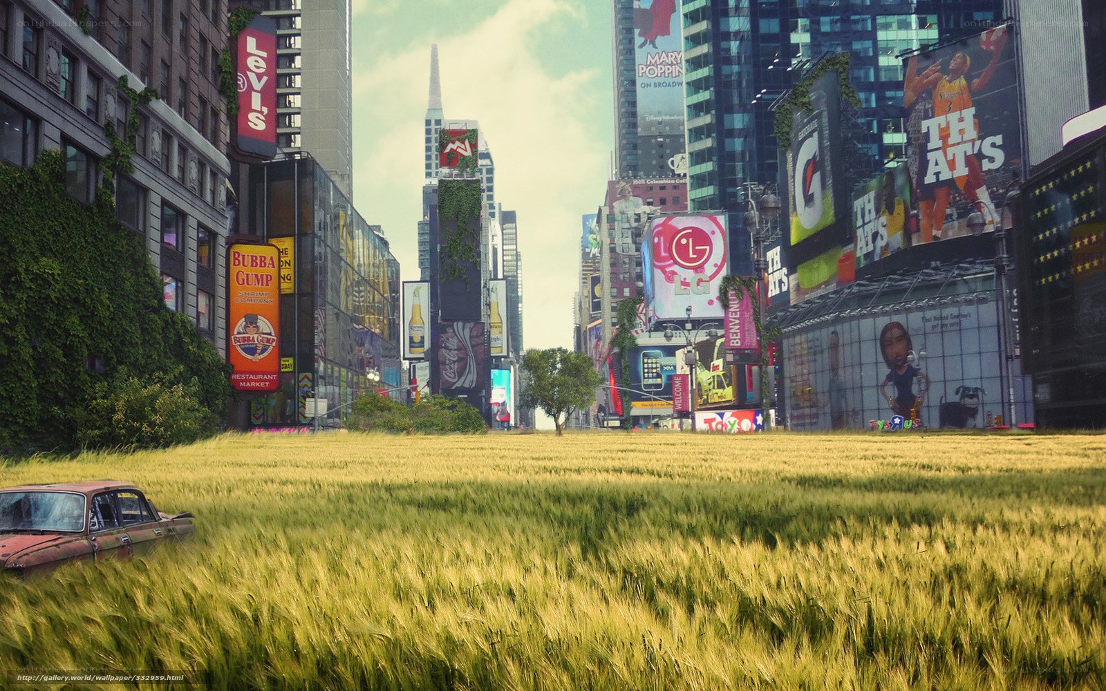 Abandoned city with wheat field