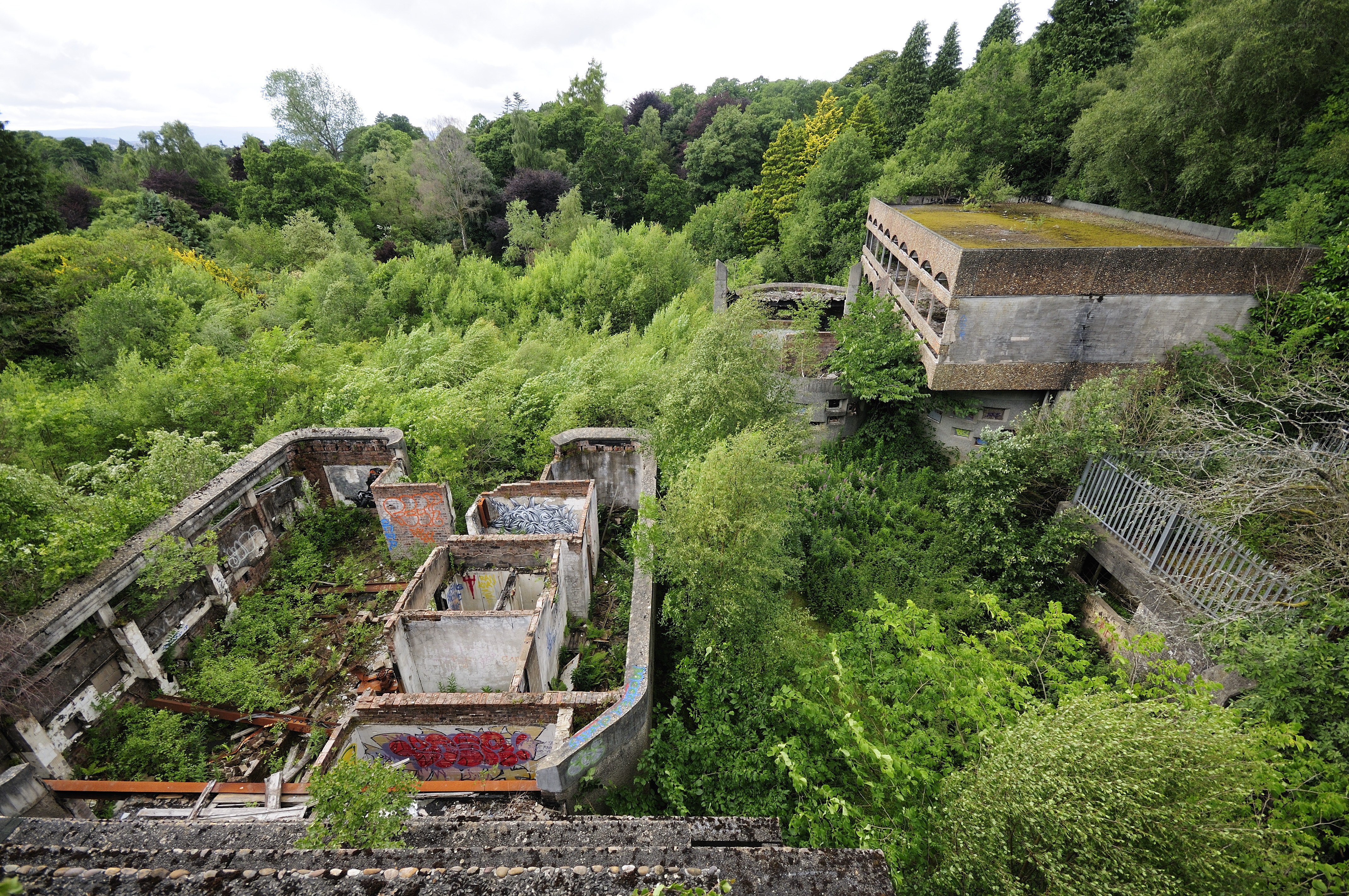 Abandoned concrete structures in forest
