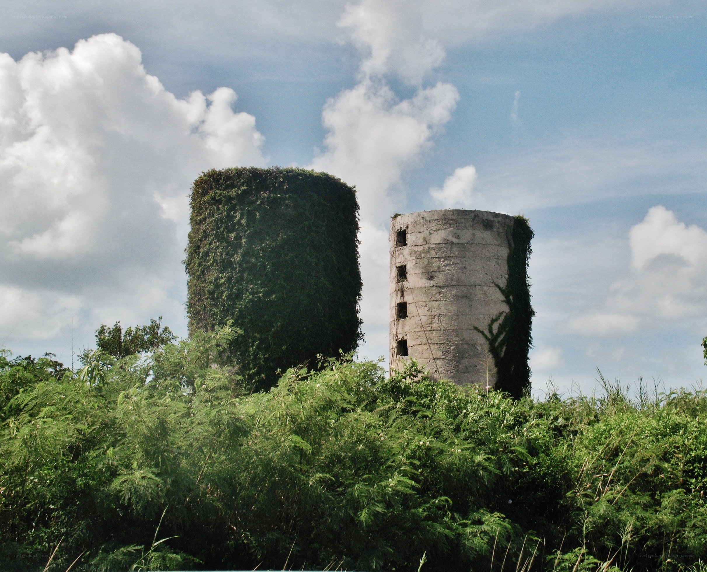 Abandoned concrete towers overgrown