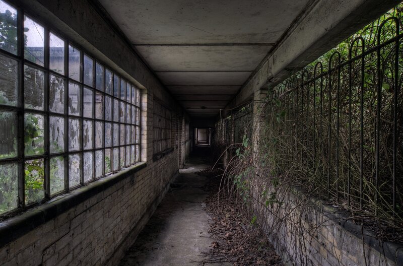 abandoned corridor with overgrown plants