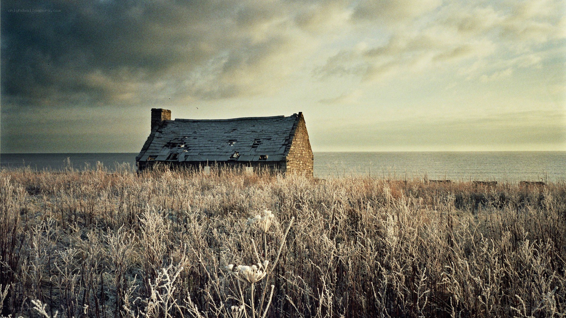 Abandoned cottage by the sea