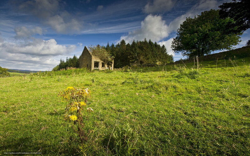 Abandoned cottage in a green field