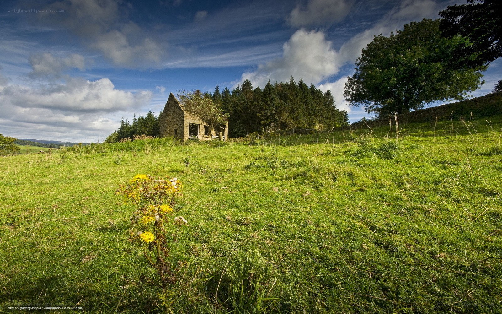 Abandoned cottage in a green field