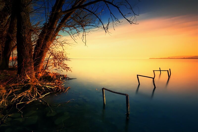 Abandoned Dock at Sunset — Orange, Serene, Photograph, Tree