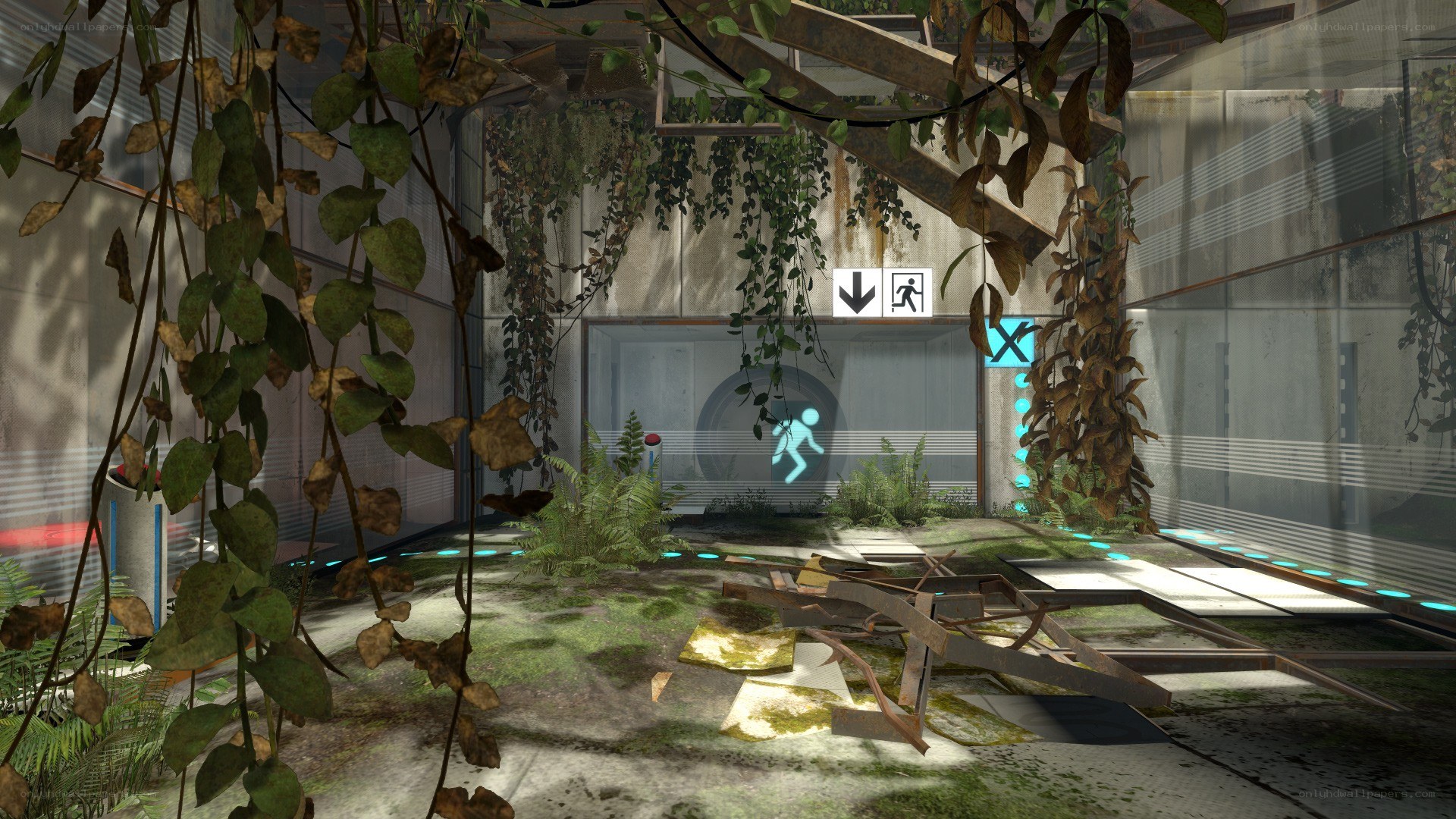 abandoned facility with overgrown plants