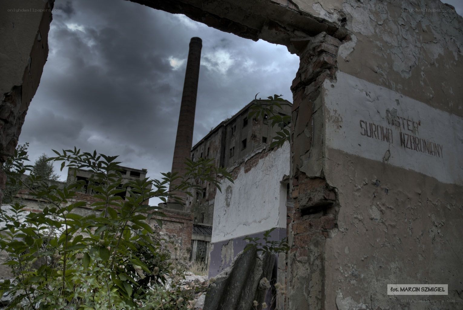 Abandoned factory ruins