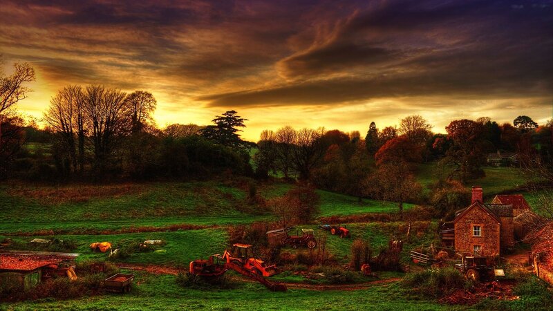 Abandoned Farm Equipment — Green