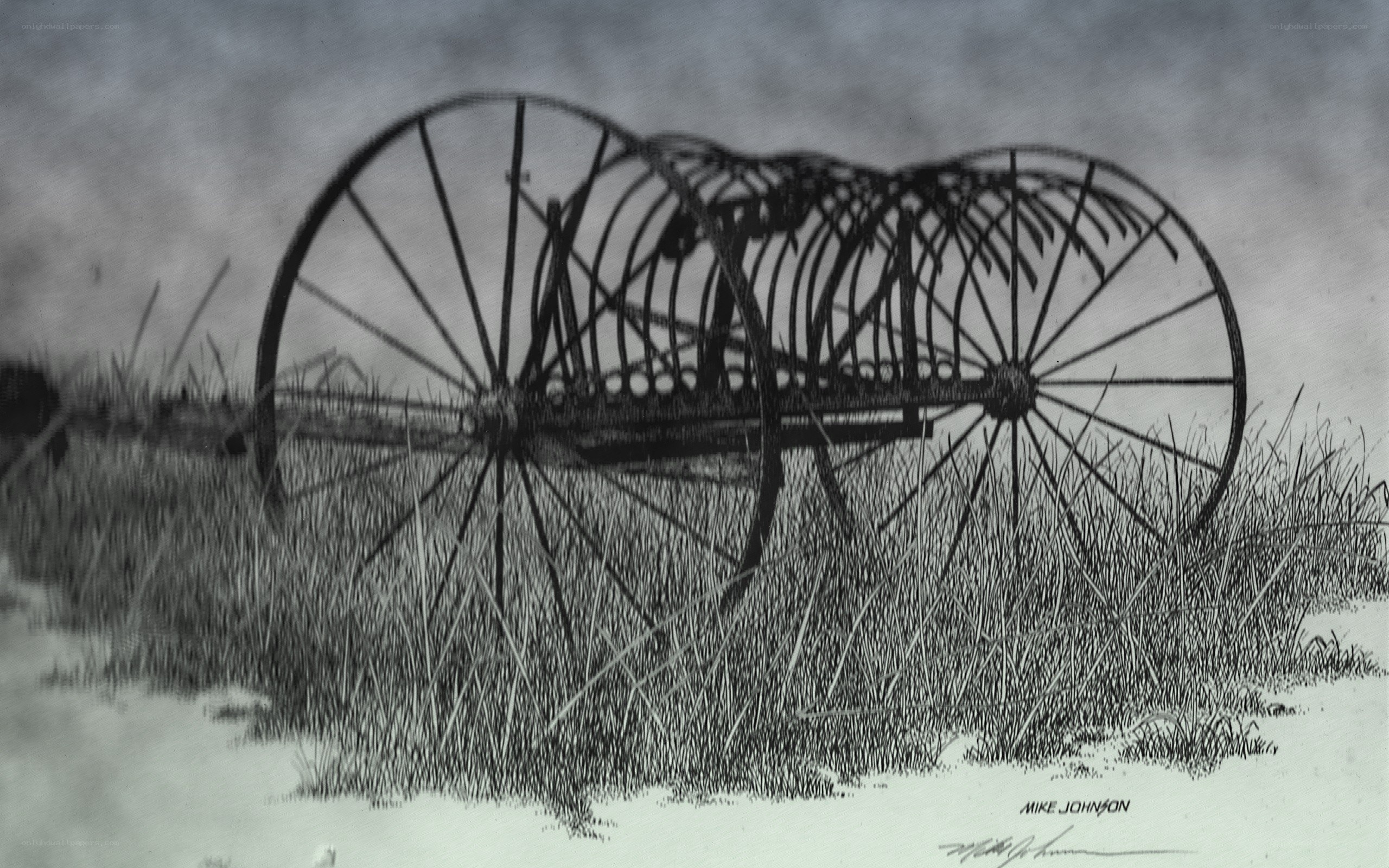 Abandoned farm equipment in grass