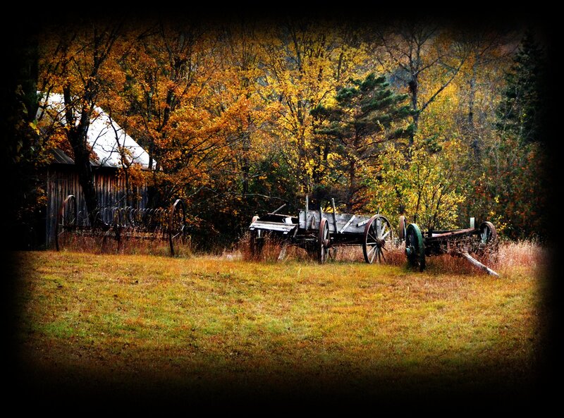 Abandoned Farm Equipment — Yellow
