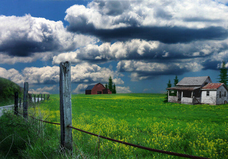 Abandoned Farm in Field