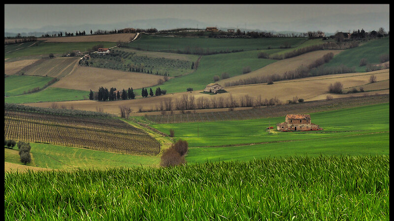 Abandoned Farmhouse in Fields