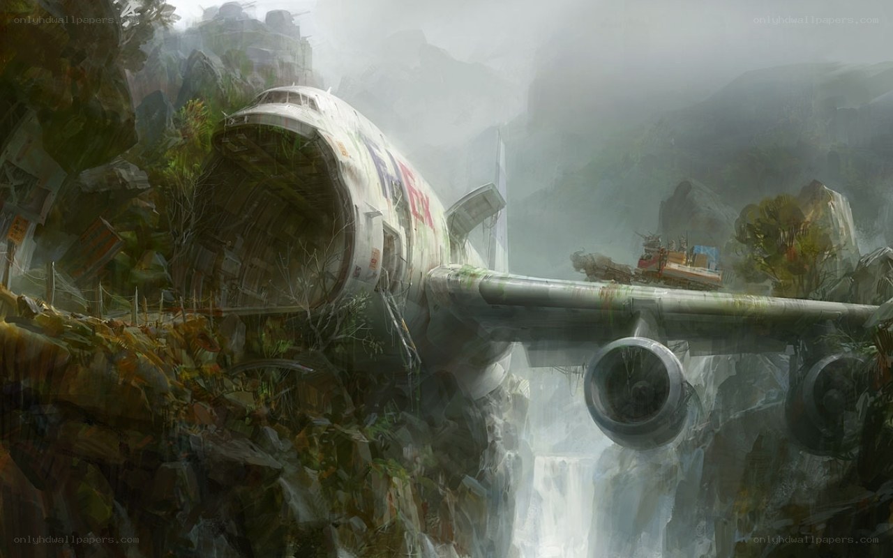 Abandoned FedEx plane in jungle