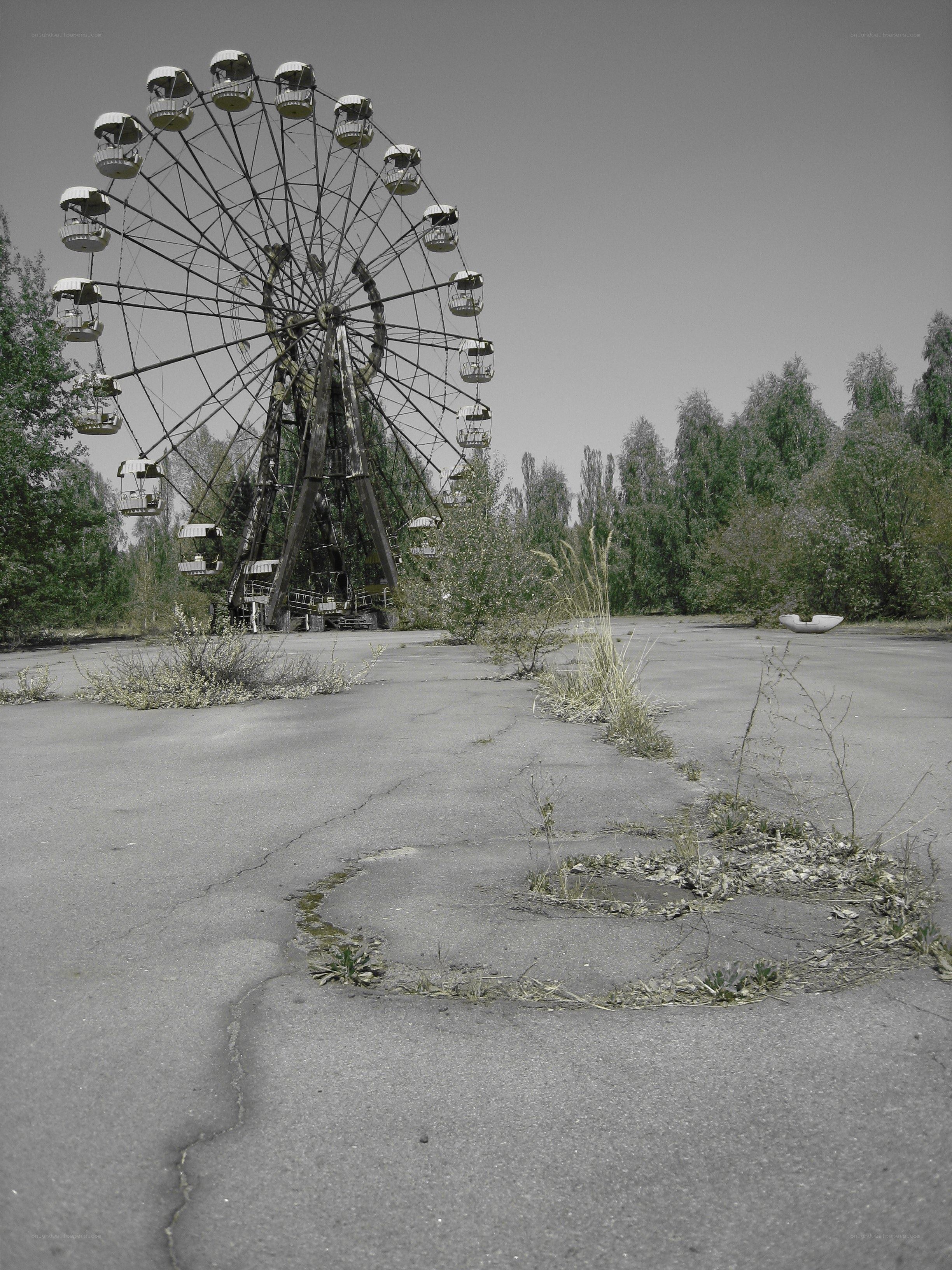 Abandoned Ferris Wheel