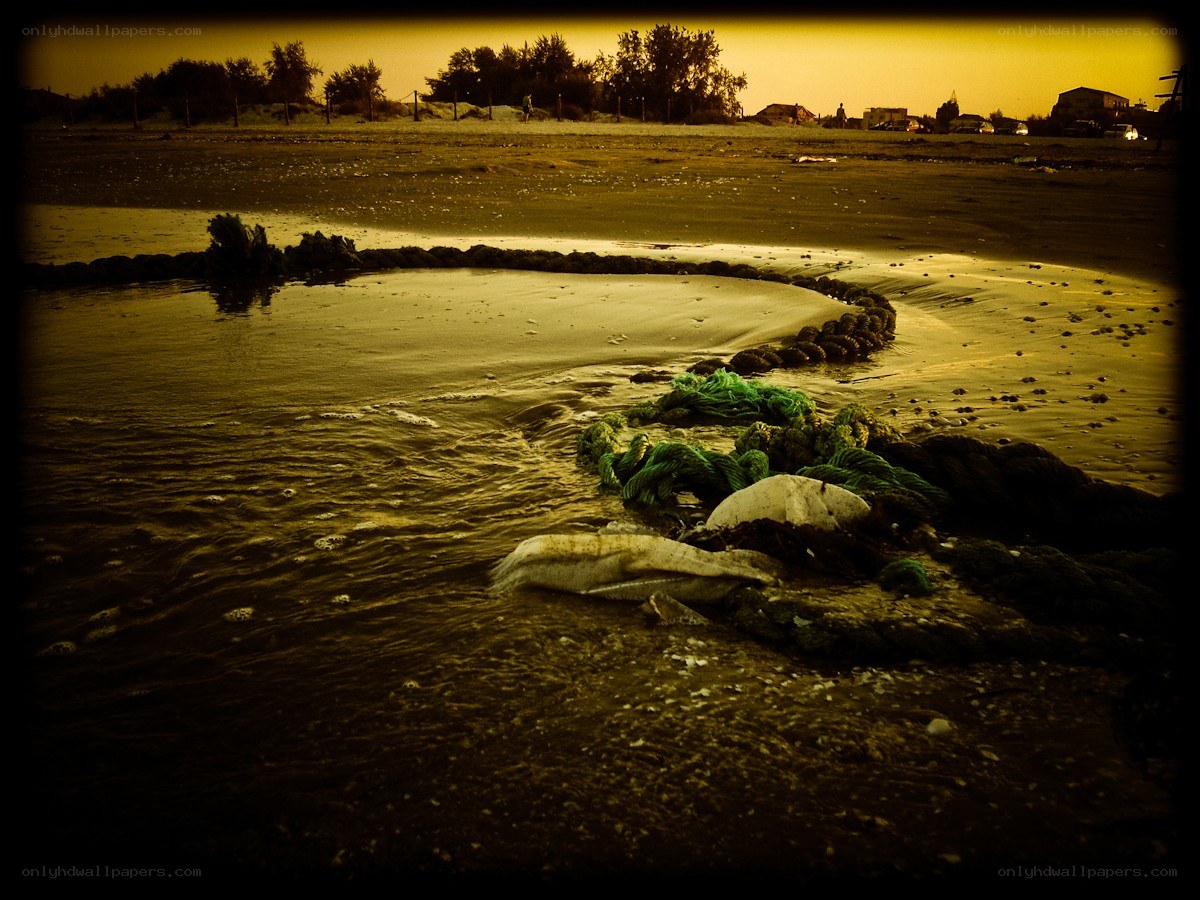 Abandoned fishing net on beach