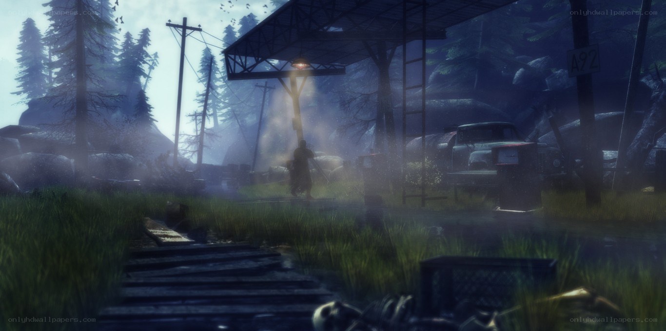 abandoned gas station in forest