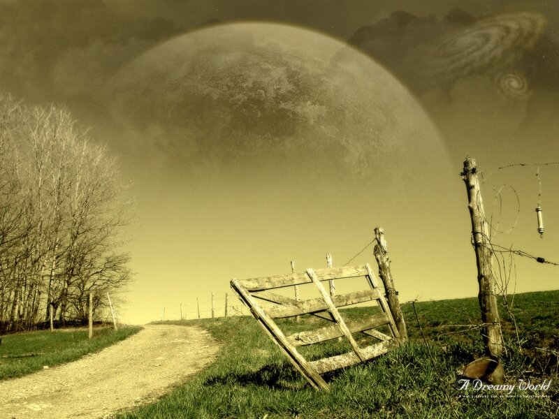 Abandoned Gate on Dirt Road — Green