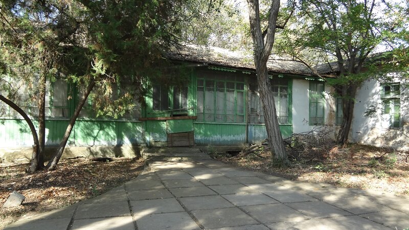 abandoned green building in trees