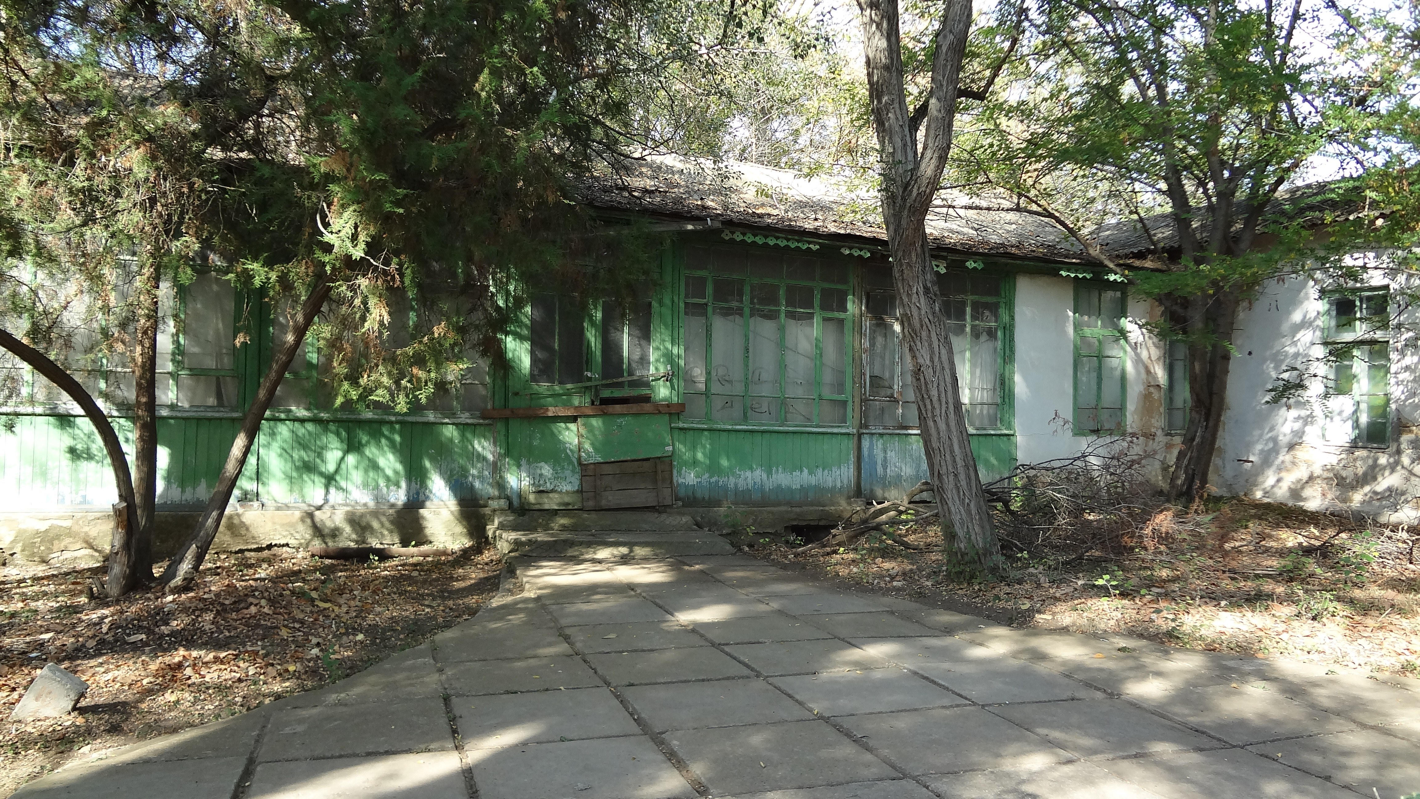 abandoned green building in trees