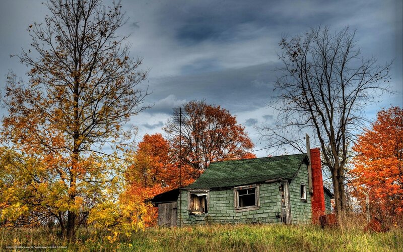 Abandoned Green Cabin
