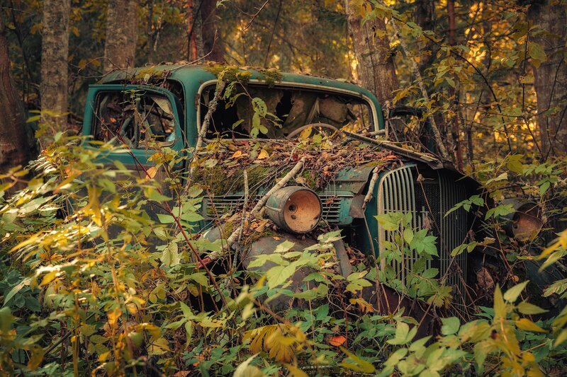 Abandoned Green Truck — Overgrown