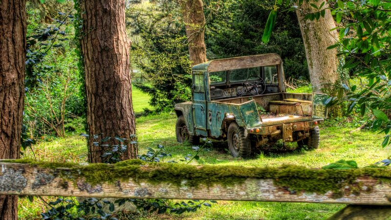 Abandoned Green Truck — Serene