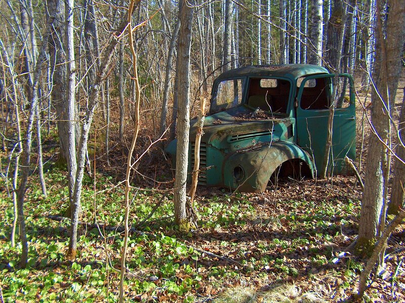 Abandoned Green Truck