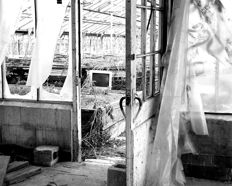 Abandoned Greenhouse Interior — Black