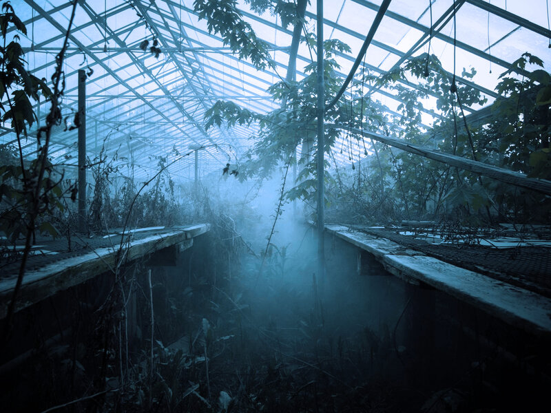 Abandoned Greenhouse Interior — Blue