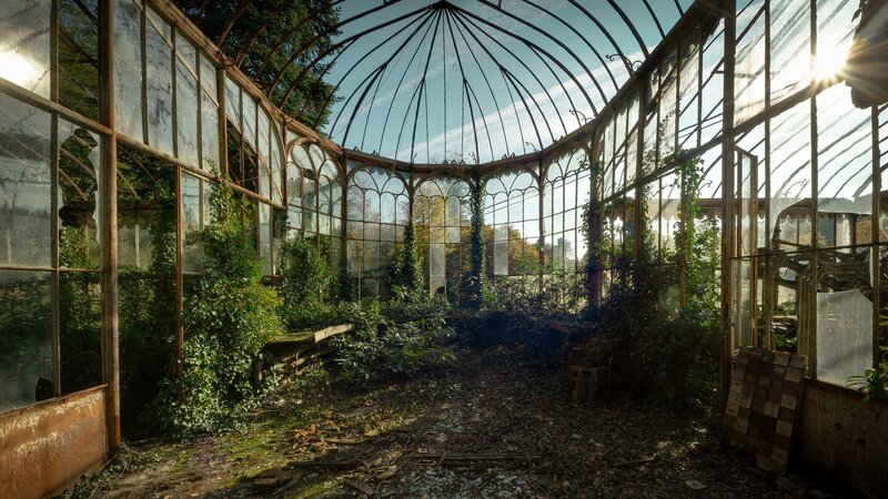 Abandoned Greenhouse Interior — Green, Overgrown, Afternoon