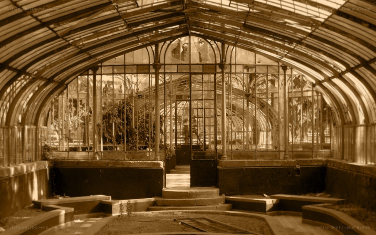 Abandoned greenhouse interior