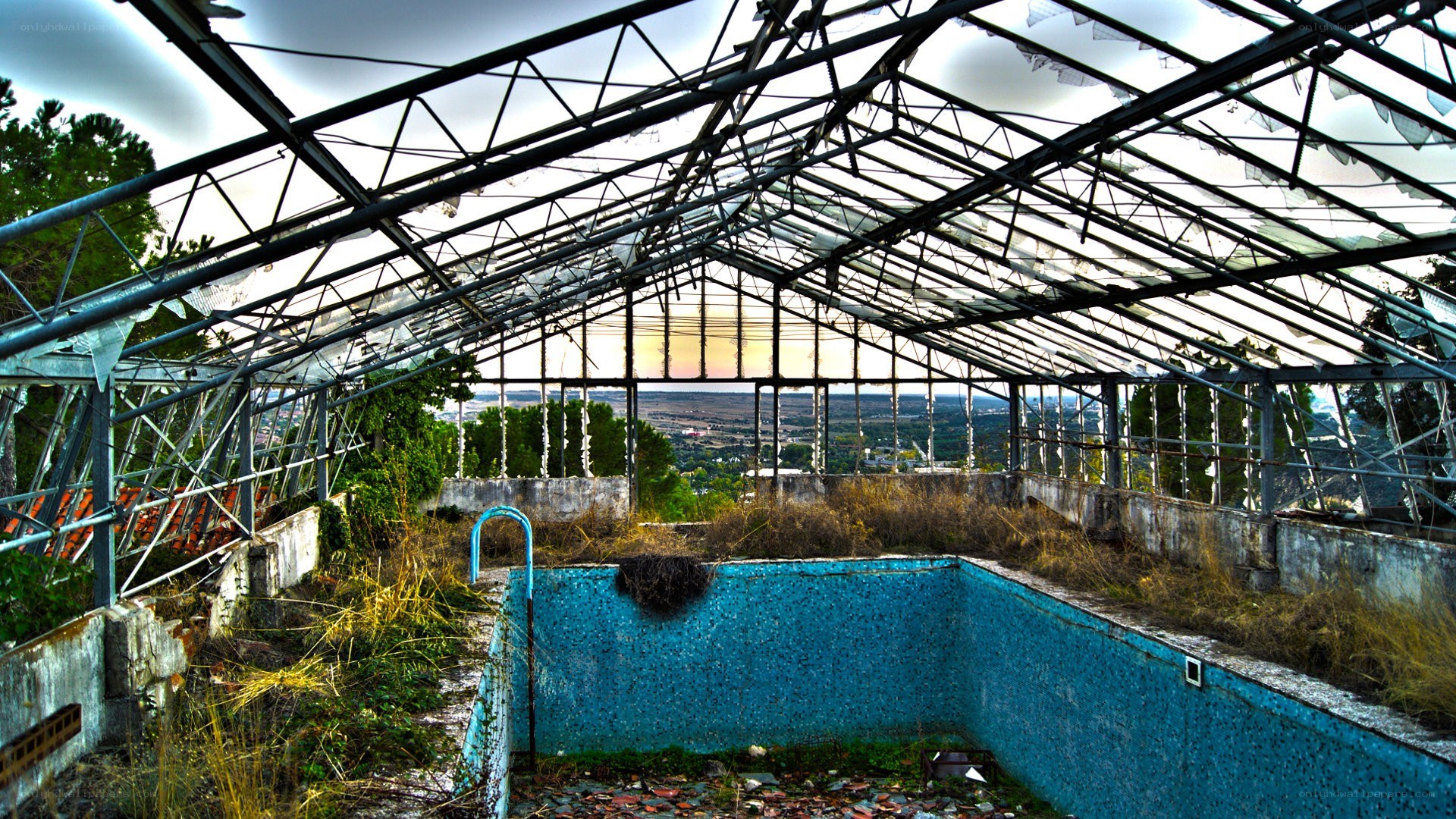 abandoned greenhouse pool