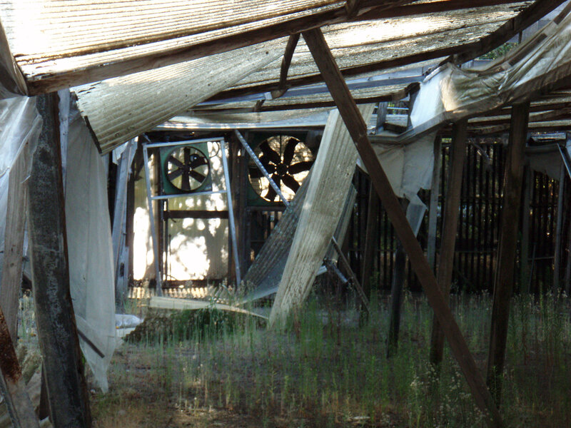 abandoned greenhouse structure