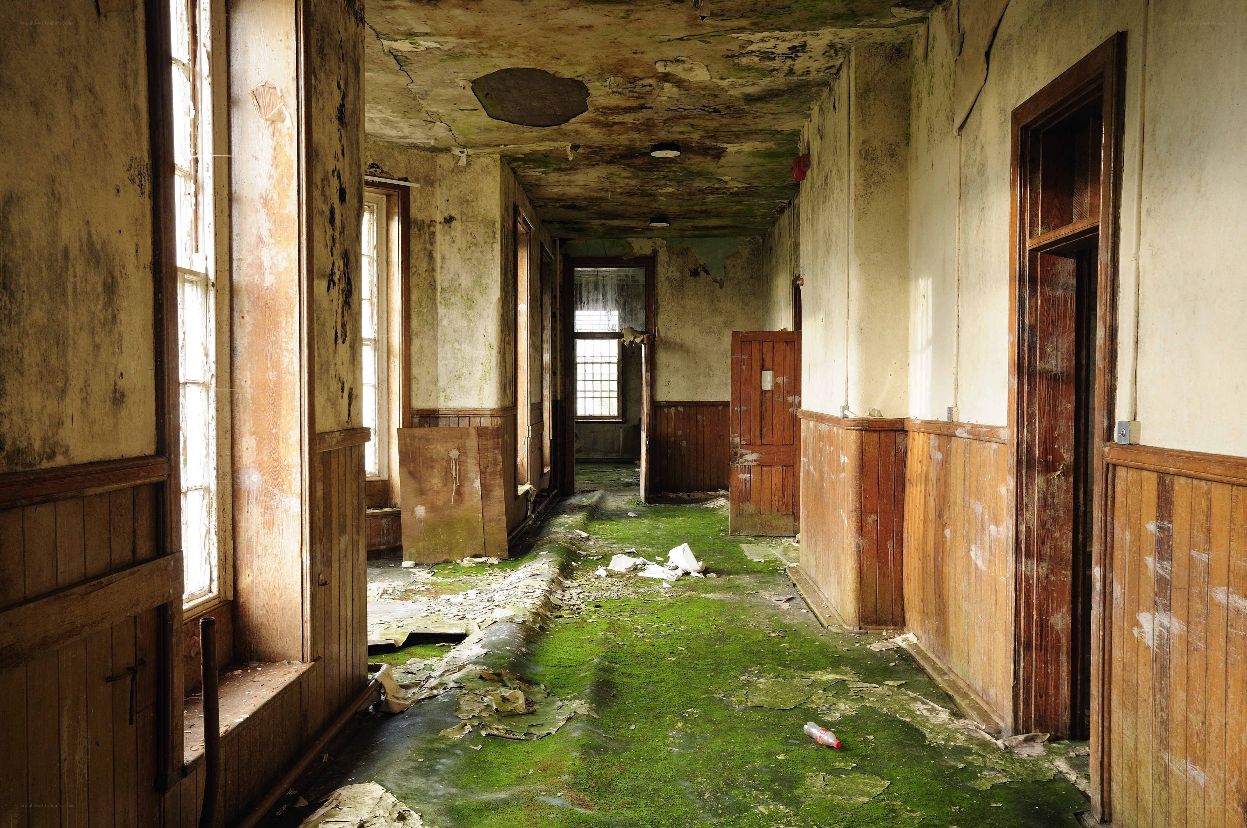 abandoned hallway with green moss